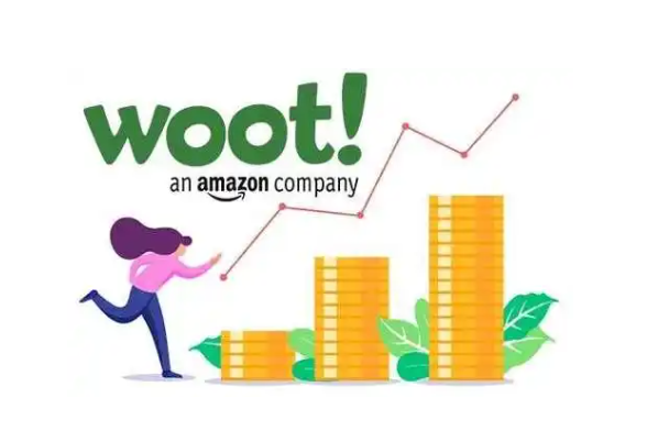 提报Woot活动对亚马逊卖家的核心价值可归纳为以下六大维度