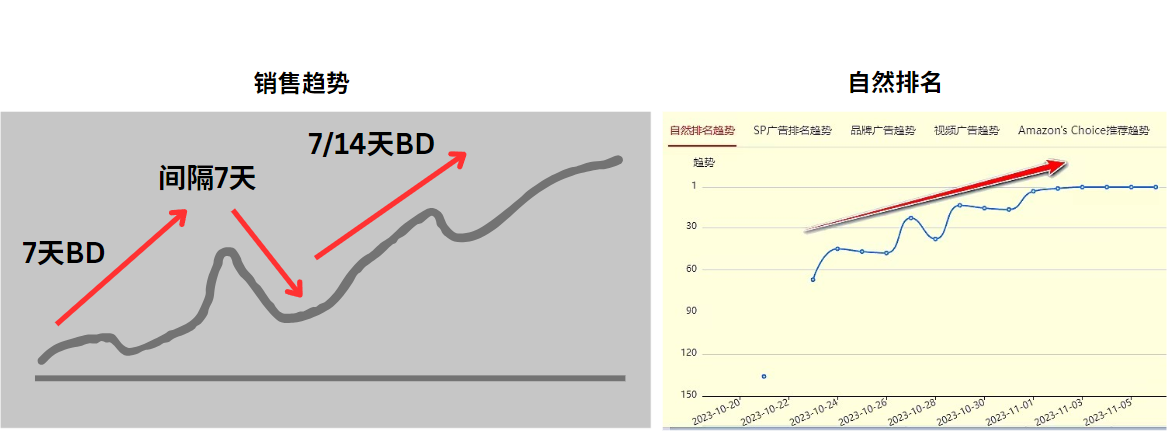30天BD